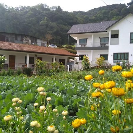Ng Family'S Farm Stay Cameron Highlands Exteriér fotografie
