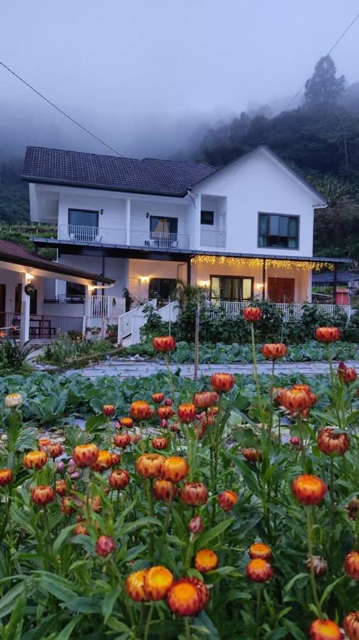 Ng Family'S Farm Stay Cameron Highlands Exteriér fotografie
